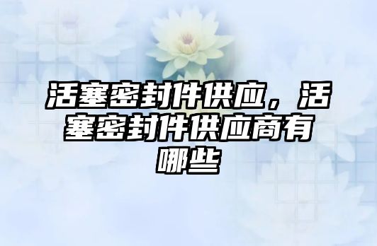 活塞密封件供應，活塞密封件供應商有哪些