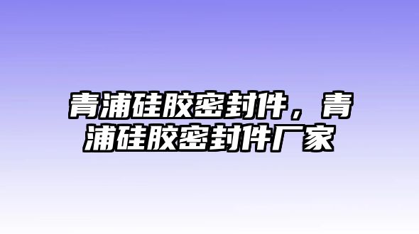 青浦硅膠密封件，青浦硅膠密封件廠家