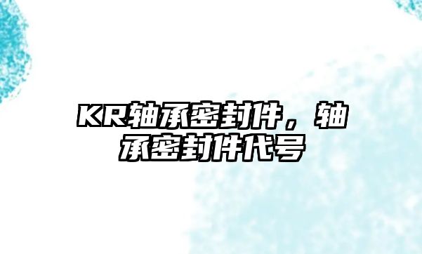 KR軸承密封件，軸承密封件代號