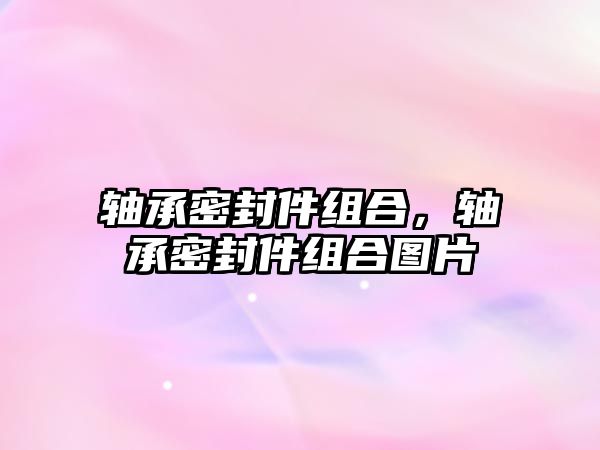 軸承密封件組合，軸承密封件組合圖片