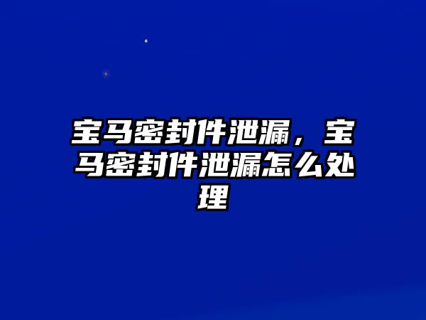 寶馬密封件泄漏，寶馬密封件泄漏怎么處理