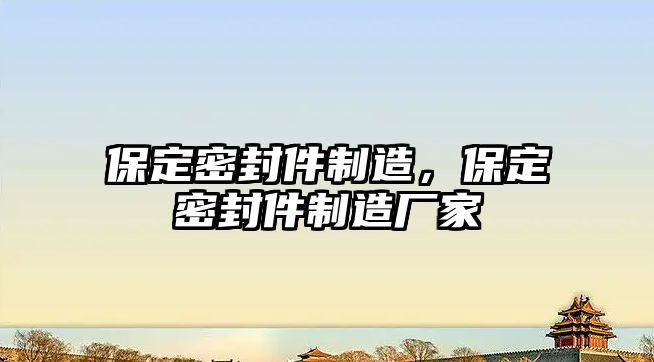 保定密封件制造，保定密封件制造廠家