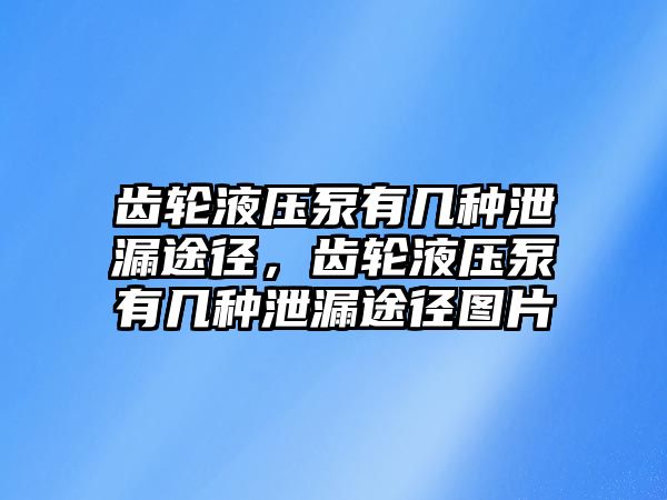 齒輪液壓泵有幾種泄漏途徑，齒輪液壓泵有幾種泄漏途徑圖片