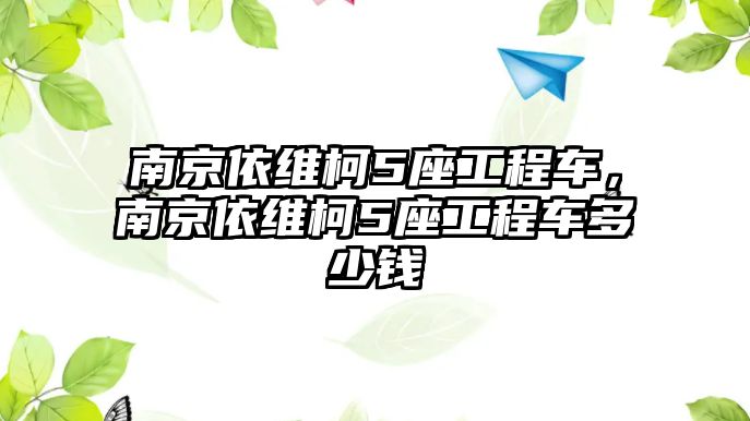 南京依維柯5座工程車，南京依維柯5座工程車多少錢