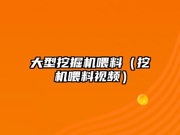 大型挖掘機(jī)喂料（挖機(jī)喂料視頻）