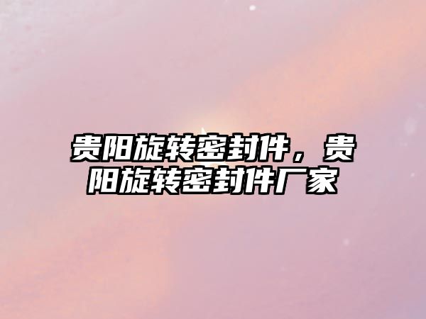 貴陽旋轉(zhuǎn)密封件，貴陽旋轉(zhuǎn)密封件廠家