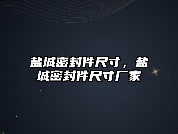 鹽城密封件尺寸，鹽城密封件尺寸廠家