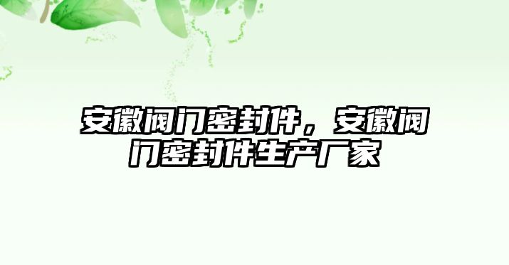 安徽閥門密封件，安徽閥門密封件生產(chǎn)廠家