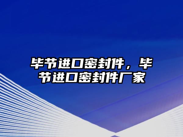 畢節(jié)進(jìn)口密封件，畢節(jié)進(jìn)口密封件廠家