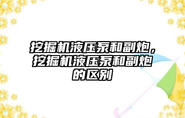 挖掘機液壓泵和副炮，挖掘機液壓泵和副炮的區(qū)別