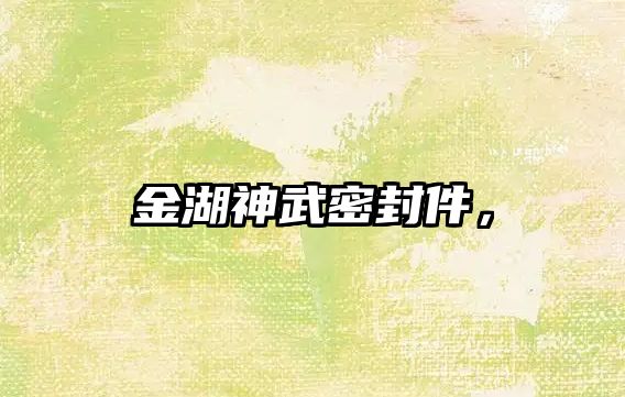 金湖神武密封件，