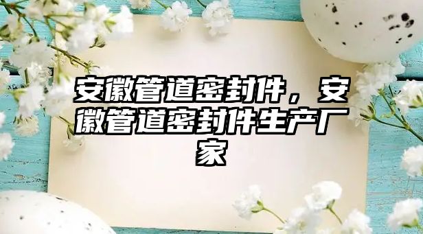 安徽管道密封件，安徽管道密封件生產(chǎn)廠家