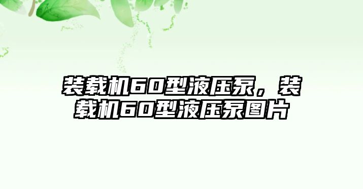 裝載機(jī)60型液壓泵，裝載機(jī)60型液壓泵圖片