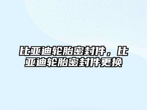 比亞迪輪胎密封件，比亞迪輪胎密封件更換