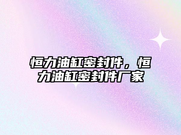 恒力油缸密封件，恒力油缸密封件廠家