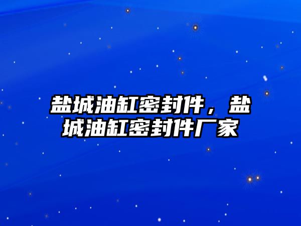 鹽城油缸密封件，鹽城油缸密封件廠家