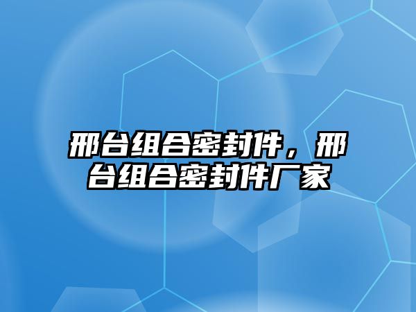 邢臺(tái)組合密封件，邢臺(tái)組合密封件廠家