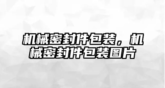 機械密封件包裝，機械密封件包裝圖片