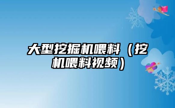 大型挖掘機(jī)喂料（挖機(jī)喂料視頻）