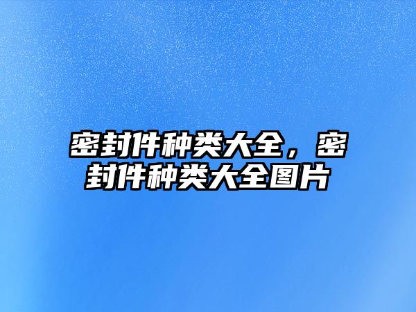 密封件種類大全，密封件種類大全圖片