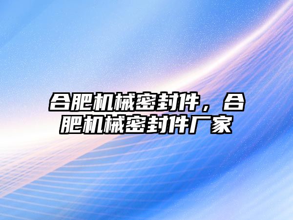 合肥機(jī)械密封件，合肥機(jī)械密封件廠家