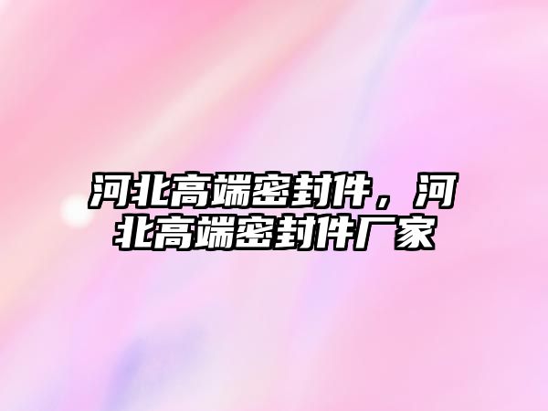 河北高端密封件，河北高端密封件廠家