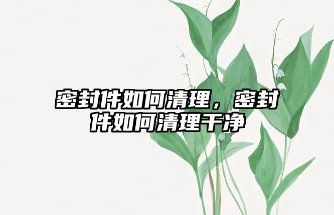 密封件如何清理，密封件如何清理干凈