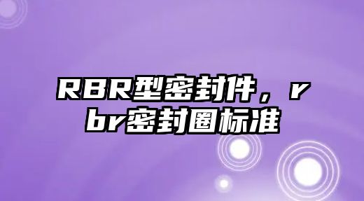 RBR型密封件，rbr密封圈標(biāo)準(zhǔn)