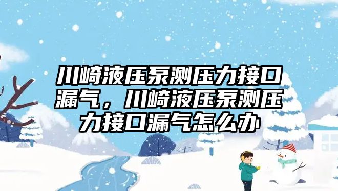 川崎液壓泵測(cè)壓力接口漏氣，川崎液壓泵測(cè)壓力接口漏氣怎么辦