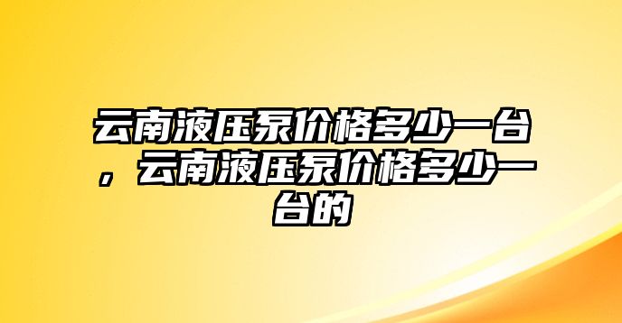 云南液壓泵價格多少一臺，云南液壓泵價格多少一臺的