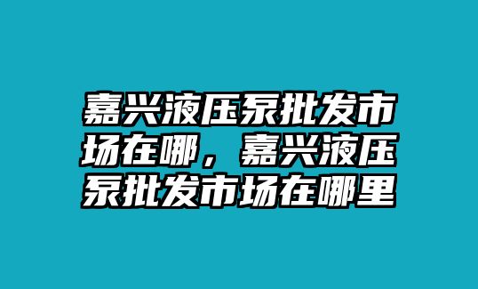 嘉興液壓泵批發(fā)市場(chǎng)在哪，嘉興液壓泵批發(fā)市場(chǎng)在哪里