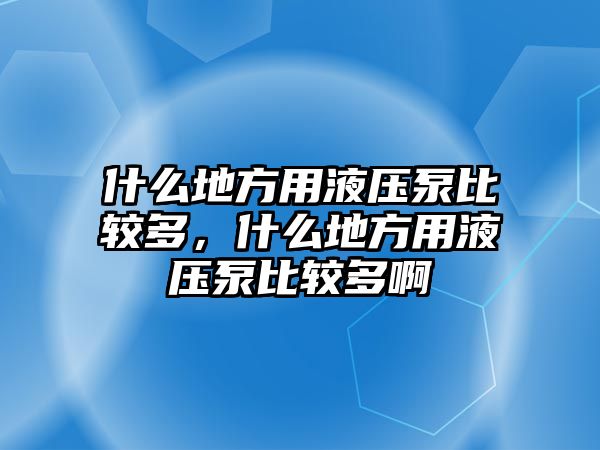 什么地方用液壓泵比較多，什么地方用液壓泵比較多啊