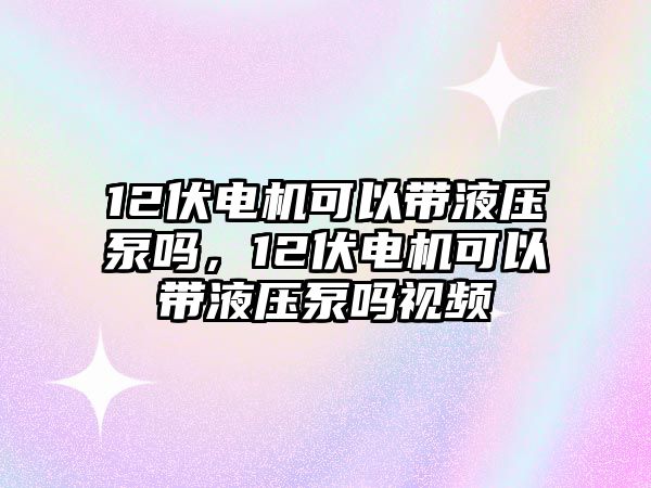 12伏電機(jī)可以帶液壓泵嗎，12伏電機(jī)可以帶液壓泵嗎視頻