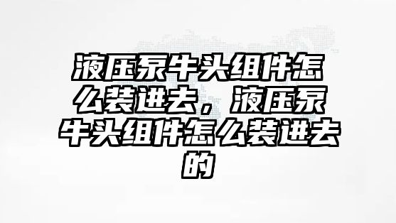 液壓泵牛頭組件怎么裝進(jìn)去，液壓泵牛頭組件怎么裝進(jìn)去的