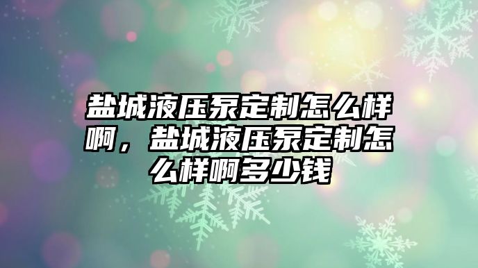 鹽城液壓泵定制怎么樣啊，鹽城液壓泵定制怎么樣啊多少錢