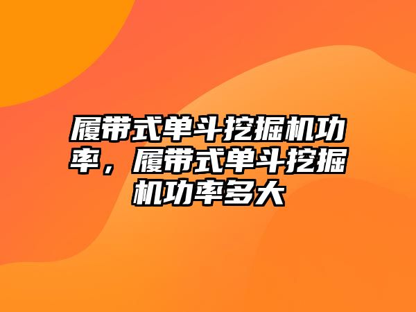 履帶式單斗挖掘機(jī)功率，履帶式單斗挖掘機(jī)功率多大