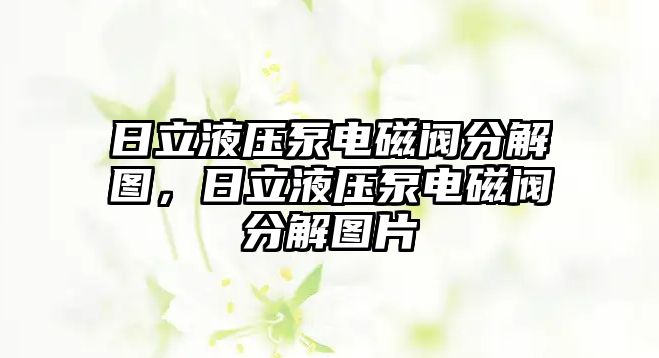 日立液壓泵電磁閥分解圖，日立液壓泵電磁閥分解圖片