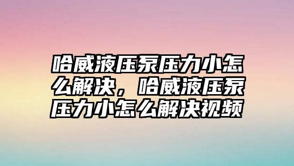 哈威液壓泵壓力小怎么解決，哈威液壓泵壓力小怎么解決視頻