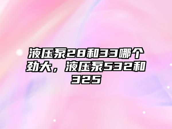 液壓泵28和33哪個(gè)勁大，液壓泵532和325